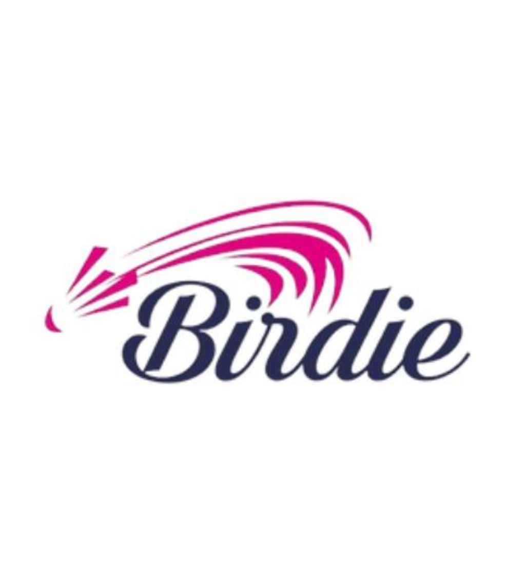 Birdie Badminton Academy